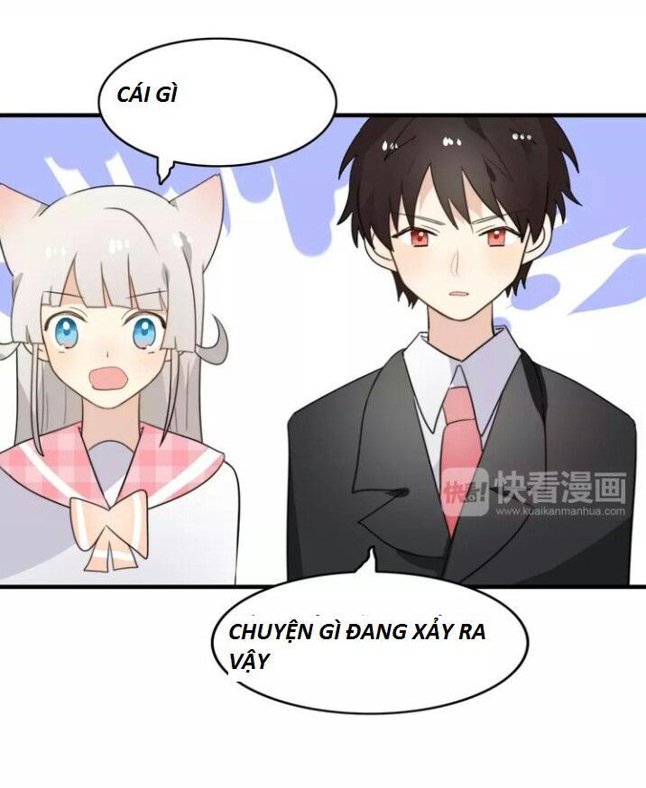 Thú Sủng Của Tôi Bị Mất Trí Rồi Chap 47 - Next Chap 48