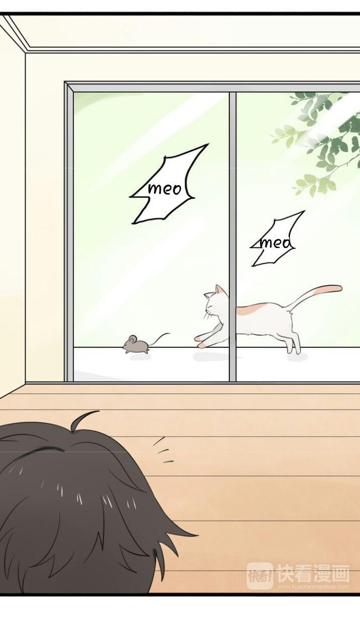 Thú Sủng Của Tôi Bị Mất Trí Rồi Chap 8 - Next Chap 9