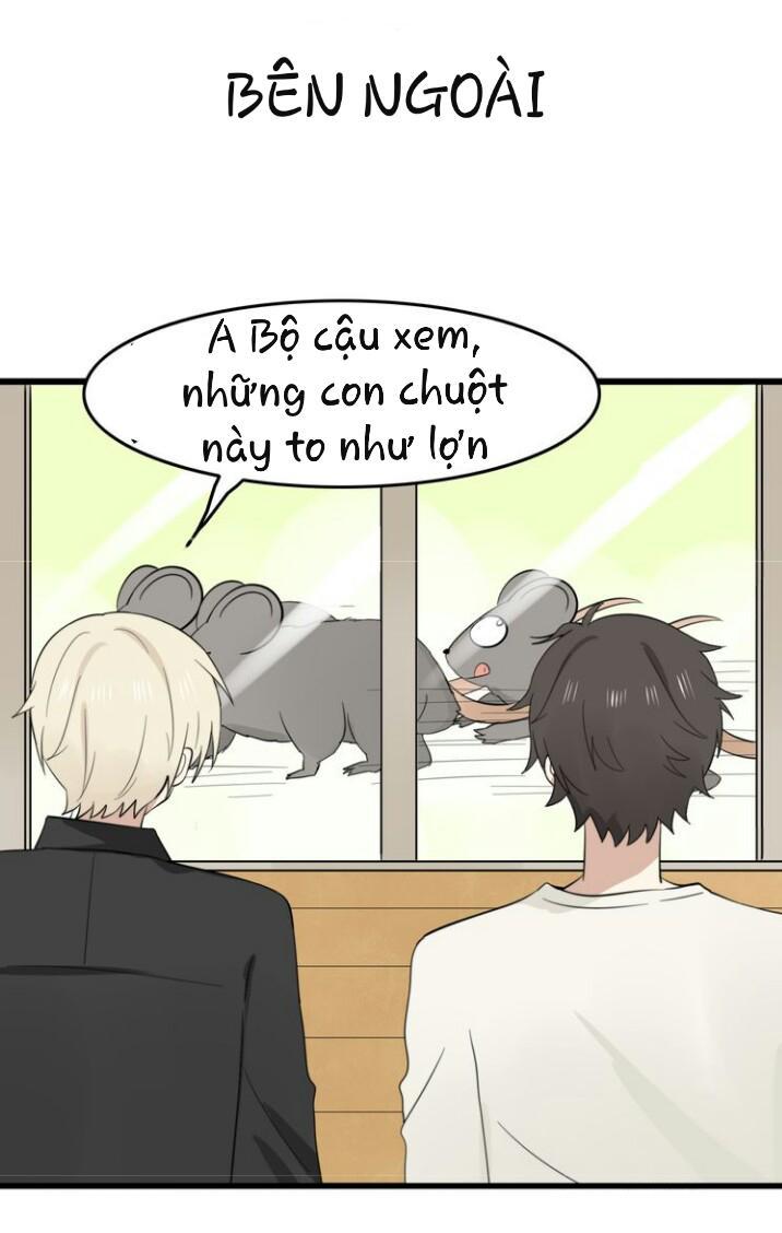 Thú Sủng Của Tôi Bị Mất Trí Rồi Chap 9 - Next Chap 10
