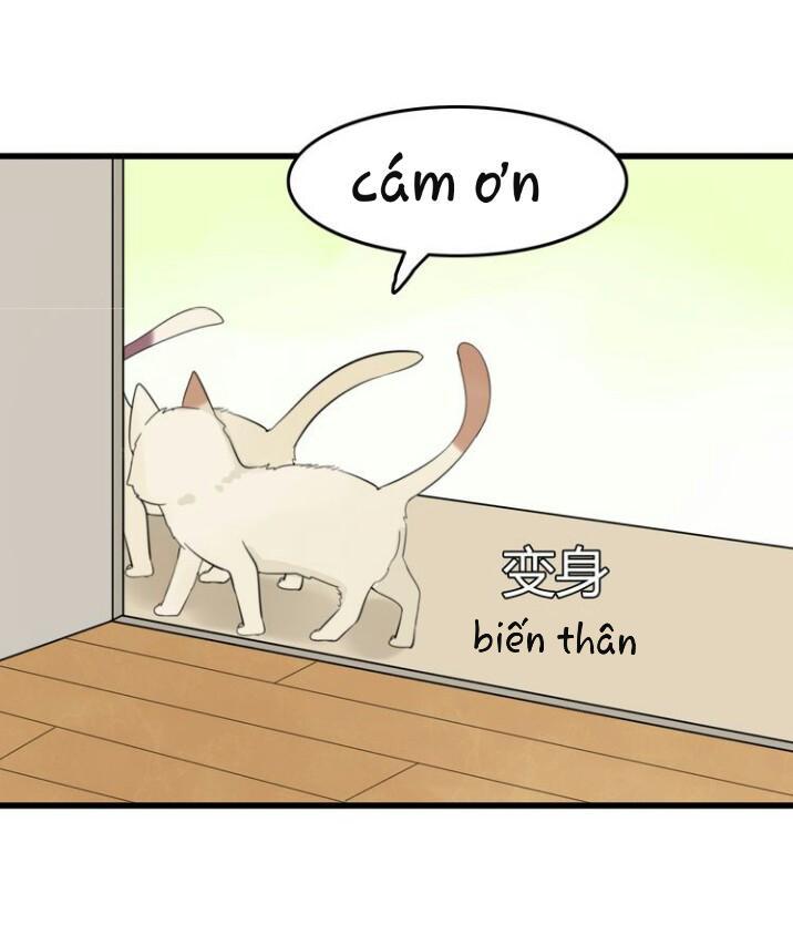 Thú Sủng Của Tôi Bị Mất Trí Rồi Chap 9 - Next Chap 10