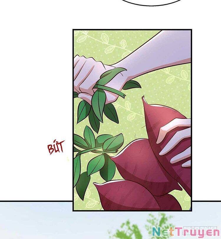 Thú Thế Cuồng Phi: Bất Đương Dị Giới Nữ Hải Vương Chap 35 - Next Chap 36
