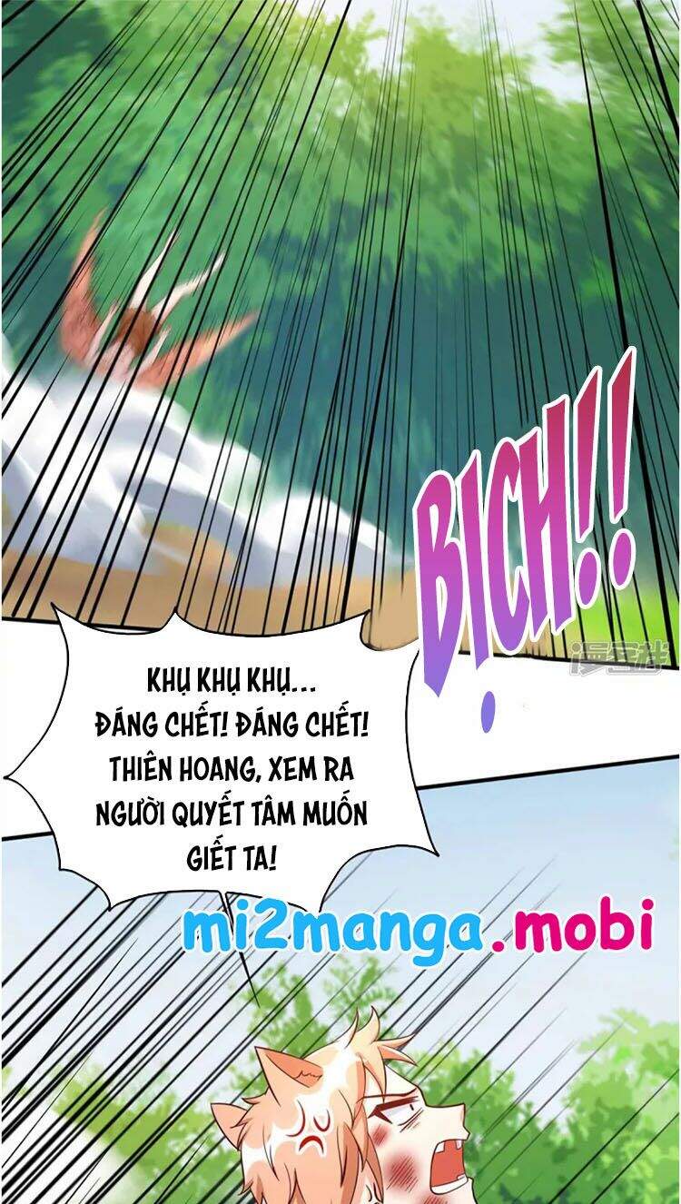 Thú Thế Cuồng Phi: Bất Đương Dị Giới Nữ Hải Vương Chap 41 - Next Chap 42