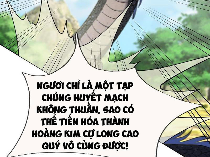 Thu Triệu Vạn Đồ Đệ, Vi Sư Vô Địch Thế Gian Chap 94 - Next Chap 95