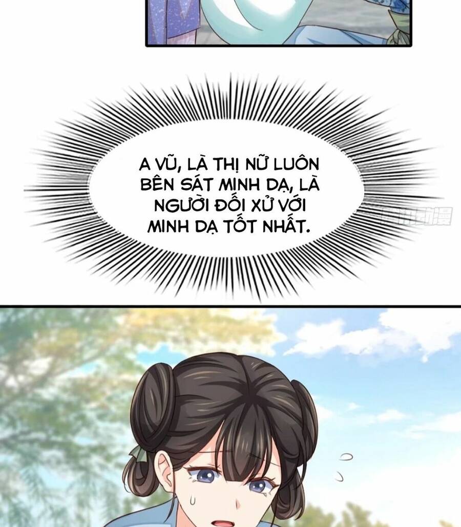 Thuần Hóa Ba Ba Bạo Quân Chap 2 - Next Chap 3