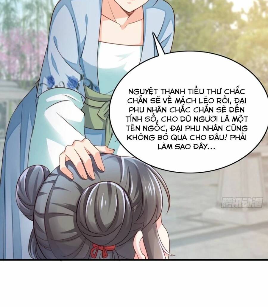 Thuần Hóa Ba Ba Bạo Quân Chap 2 - Next Chap 3