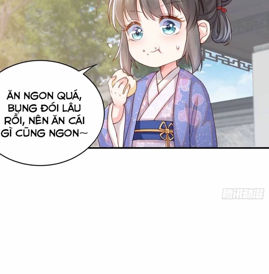 Thuần Hóa Ba Ba Bạo Quân Chap 2 - Next Chap 3