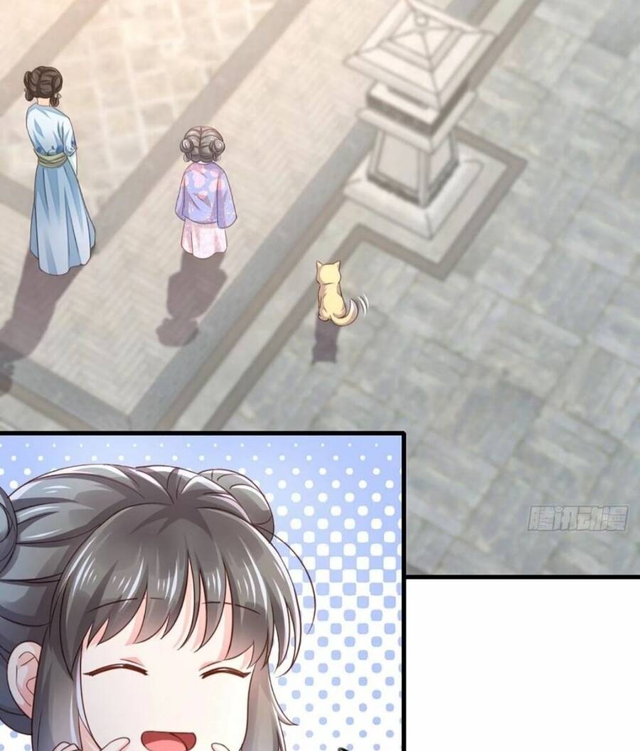 Thuần Hóa Ba Ba Bạo Quân Chap 2 - Next Chap 3