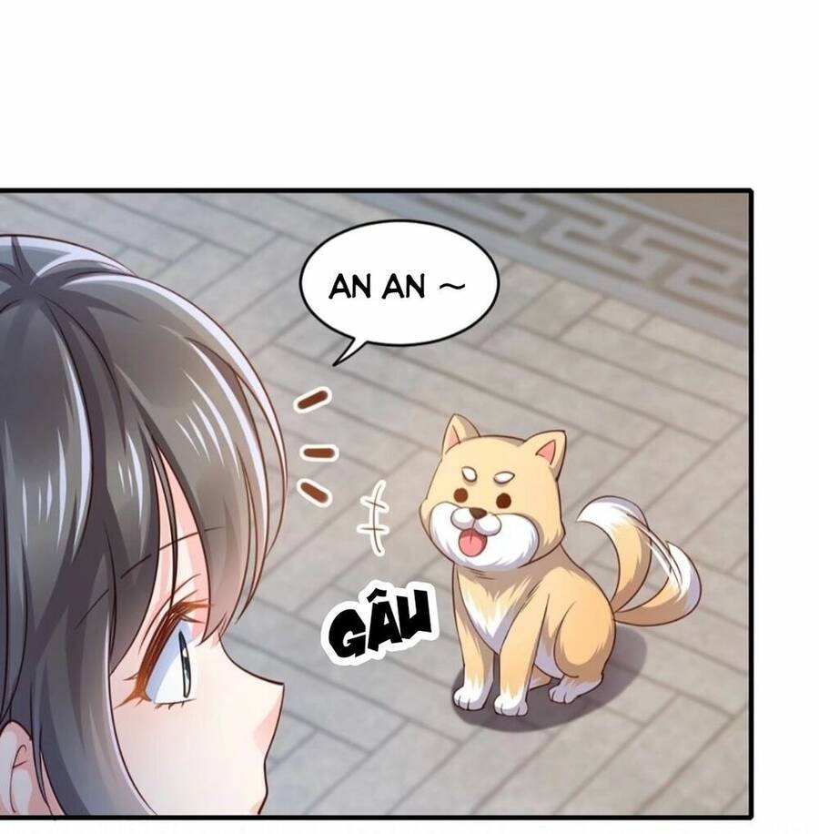 Thuần Hóa Ba Ba Bạo Quân Chap 2 - Next Chap 3