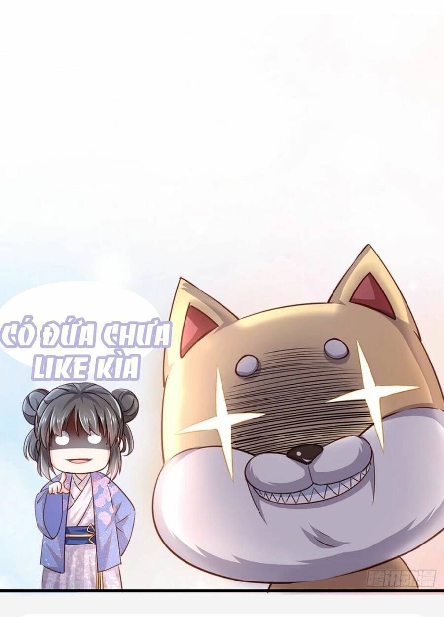 Thuần Hóa Ba Ba Bạo Quân Chap 2 - Next Chap 3