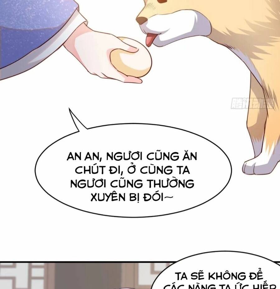 Thuần Hóa Ba Ba Bạo Quân Chap 2 - Next Chap 3
