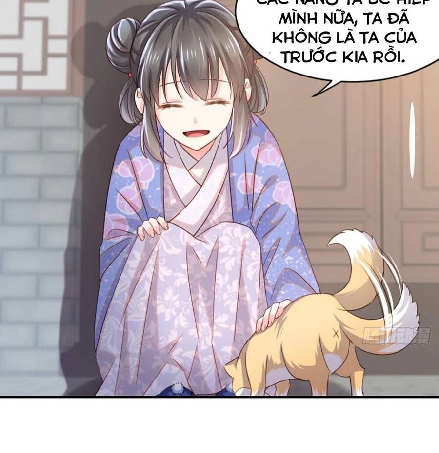 Thuần Hóa Ba Ba Bạo Quân Chap 2 - Next Chap 3