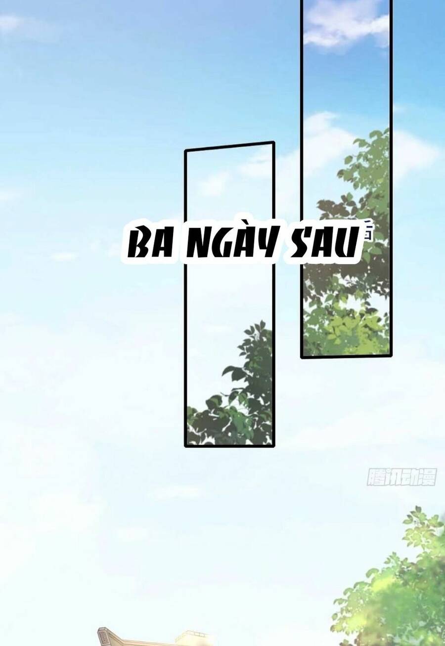 Thuần Hóa Ba Ba Bạo Quân Chap 5 - Next Chap 6