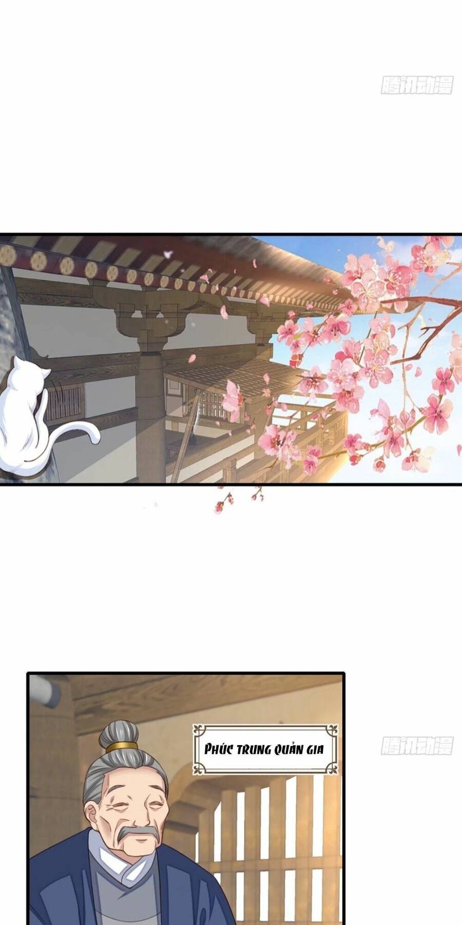 Thuần Hóa Ba Ba Bạo Quân Chap 6 - Next Chap 7