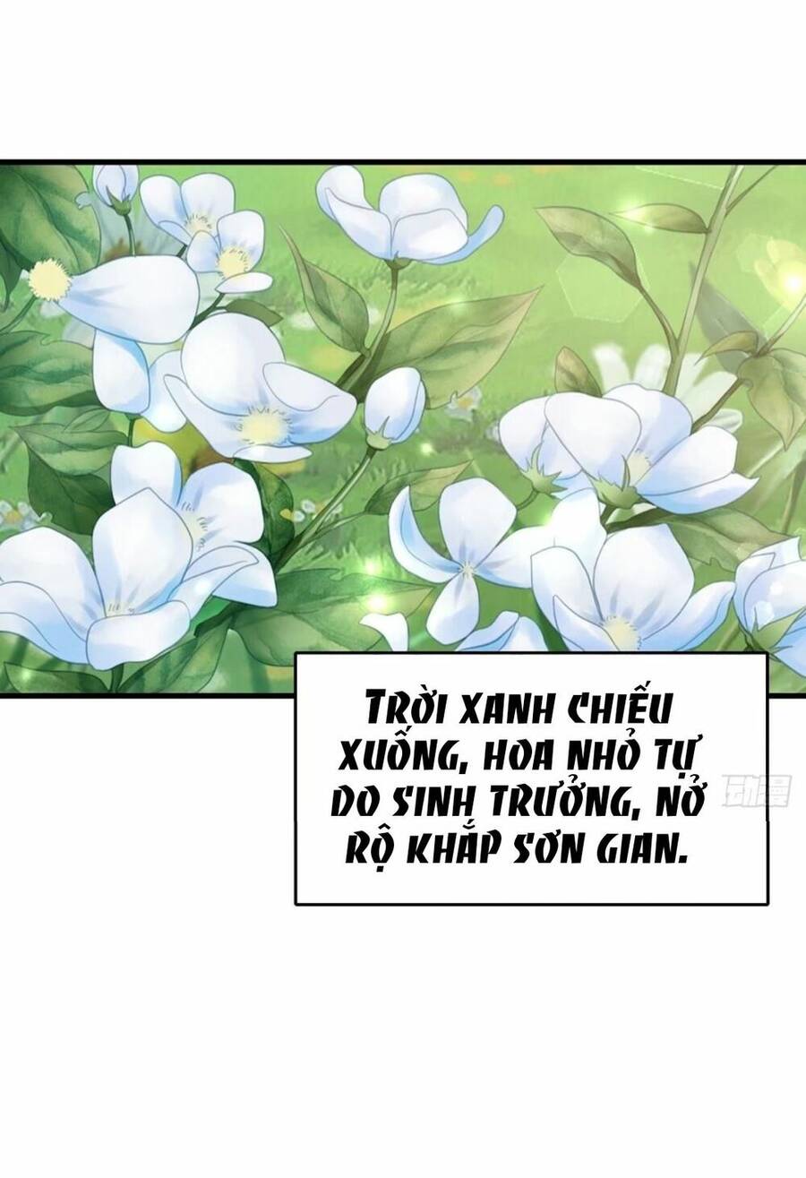 Thuần Hóa Ba Ba Bạo Quân Chap 7 - Next Chap 8