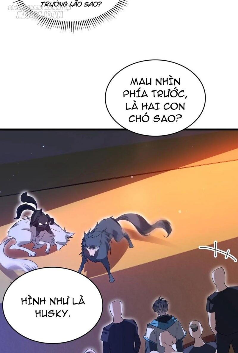 Tích Trữ 10 Vạn Vật Tư Trước Ngày Tận Thế Chap 94 - Next Chap 95