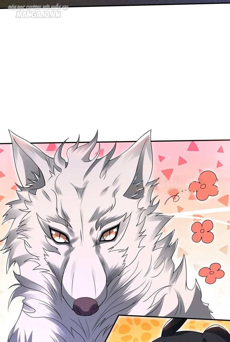 Tích Trữ 10 Vạn Vật Tư Trước Ngày Tận Thế Chap 94 - Next Chap 95