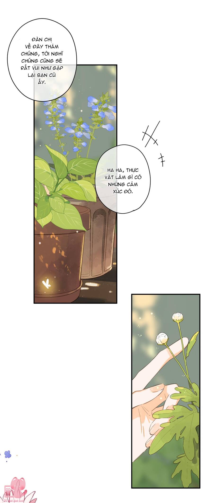 Tiệm Hoa Hướng Dương Góc Phố Chap 65 - Next Chap 66