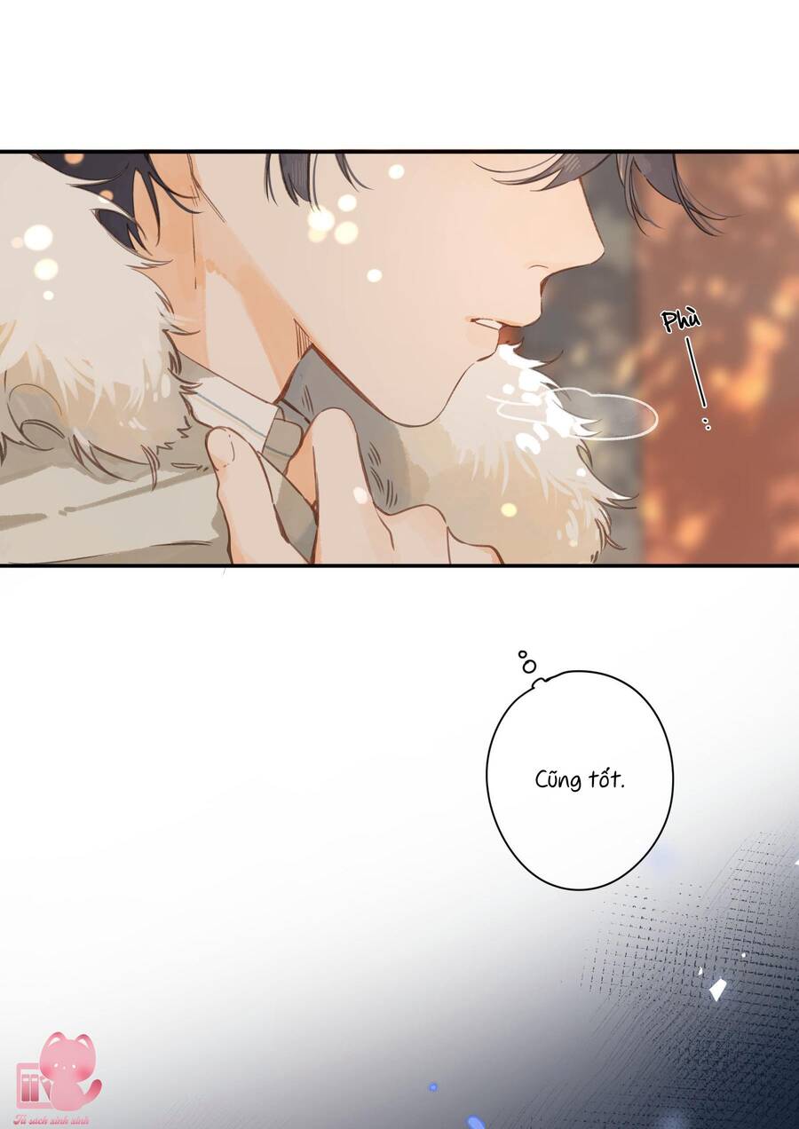 Tiệm Hoa Hướng Dương Góc Phố Chap 65 - Next Chap 66