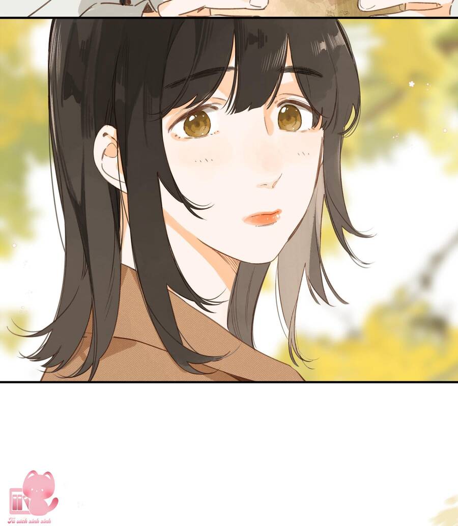 Tiệm Hoa Hướng Dương Góc Phố Chap 65 - Next Chap 66