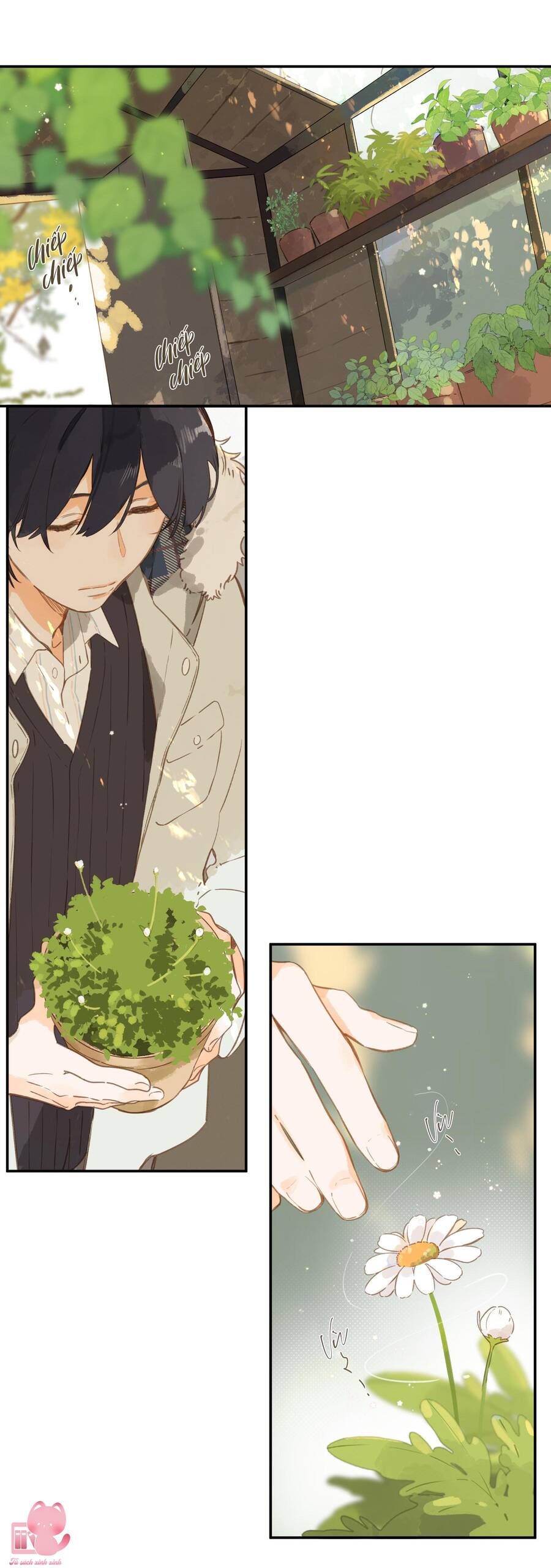 Tiệm Hoa Hướng Dương Góc Phố Chap 65 - Next Chap 66