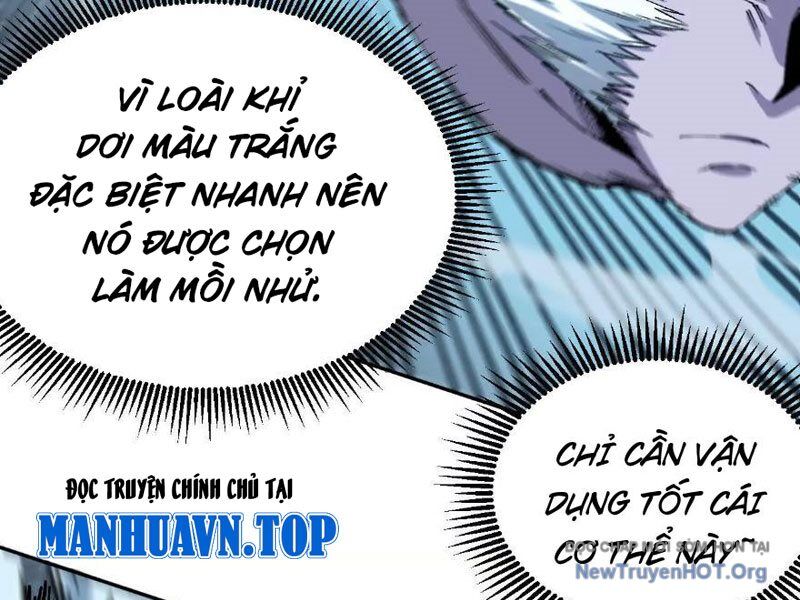 Tiên Vương Thú Liệp Pháp Tắc Chap 4 - Next Chap 5