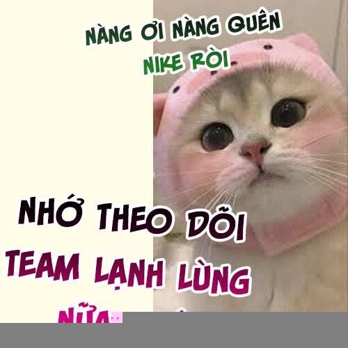 Tiểu Bảo Bối Đặc Biệt Của Tổng Tài Lạnh Lùng Chap 44 - Next Chap 45