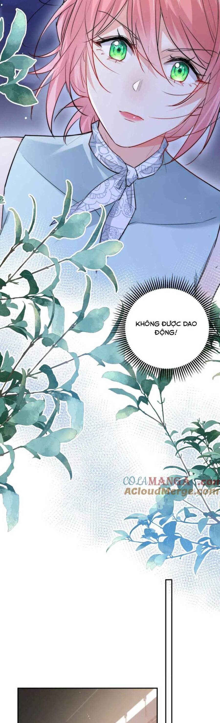 Tiểu Bảo Bối Đặc Biệt Của Tổng Tài Lạnh Lùng Chap 49 - Next Chap 50