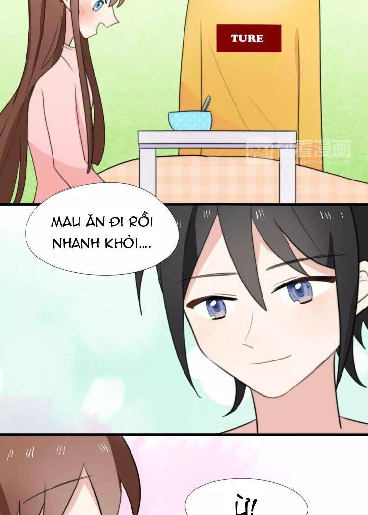 Tiểu Miêu Và Hắc Diệu Thạch Chap 15 - Next Chap 16