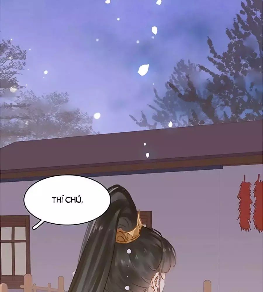 Tiểu Sư Phụ, Tóc Giả Của Ngài Rơi Rồi! Chap 14 - Next Chap 15