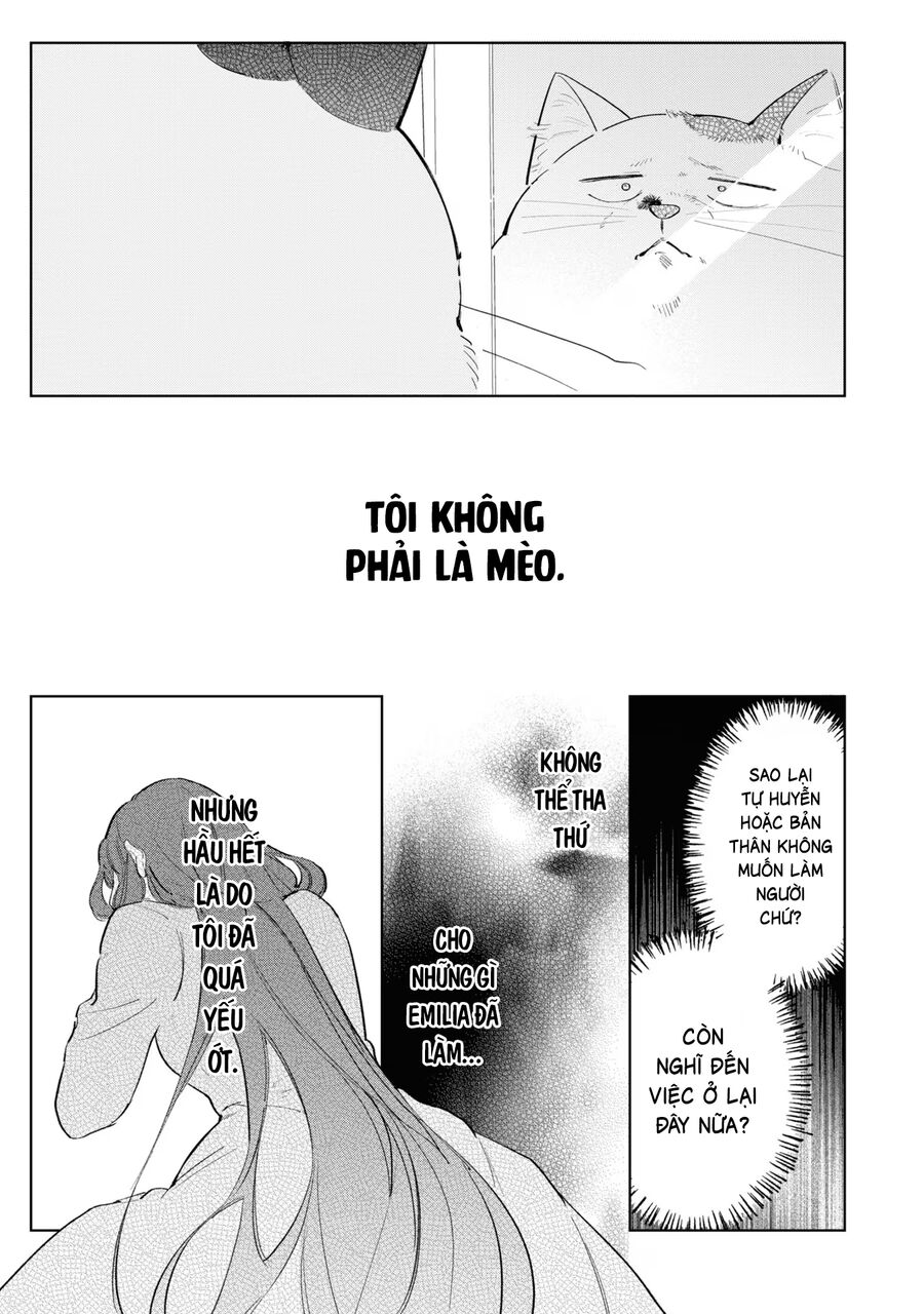 Tiểu Thư Nhút Nhát Hóa Mèo, Lúc Suýt Chết Thì Được Công Tước Cứu Chap 9 - Next Chap 10