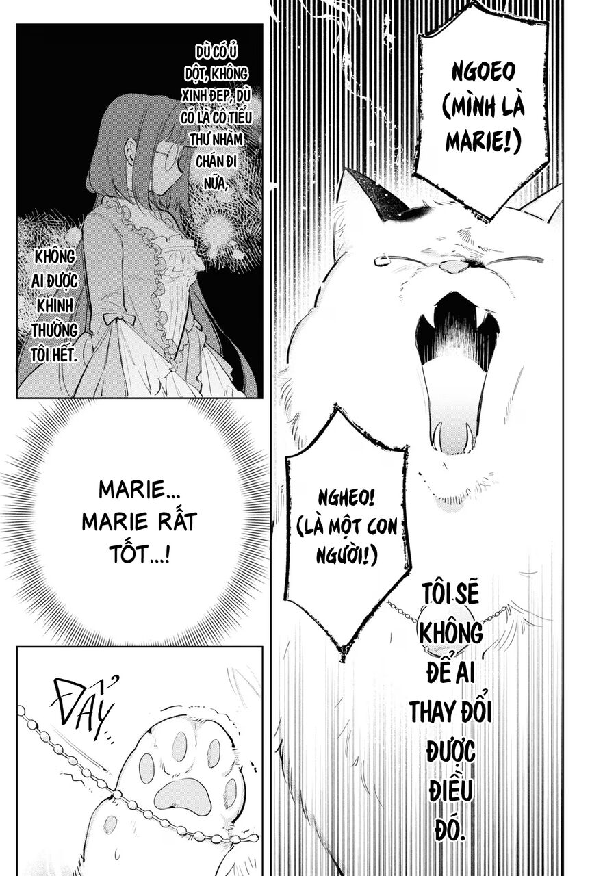 Tiểu Thư Nhút Nhát Hóa Mèo, Lúc Suýt Chết Thì Được Công Tước Cứu Chap 9 - Next Chap 10