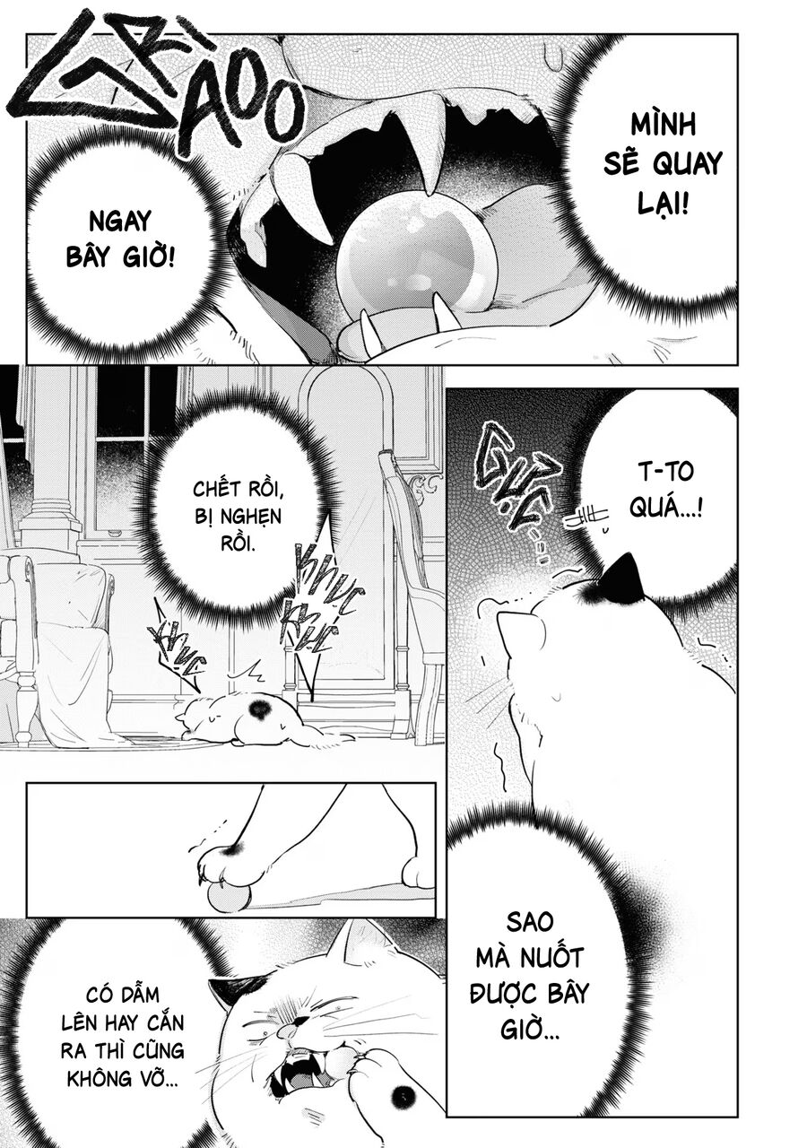 Tiểu Thư Nhút Nhát Hóa Mèo, Lúc Suýt Chết Thì Được Công Tước Cứu Chap 9 - Next Chap 10