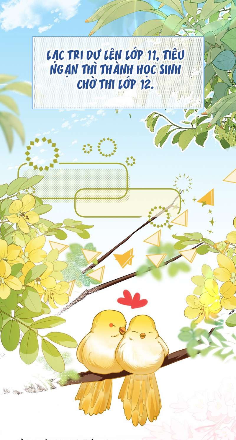 Tin Tức Tố Nói Chúng Ta Không Có Khả Năng Chap 70 - Next Chap 71