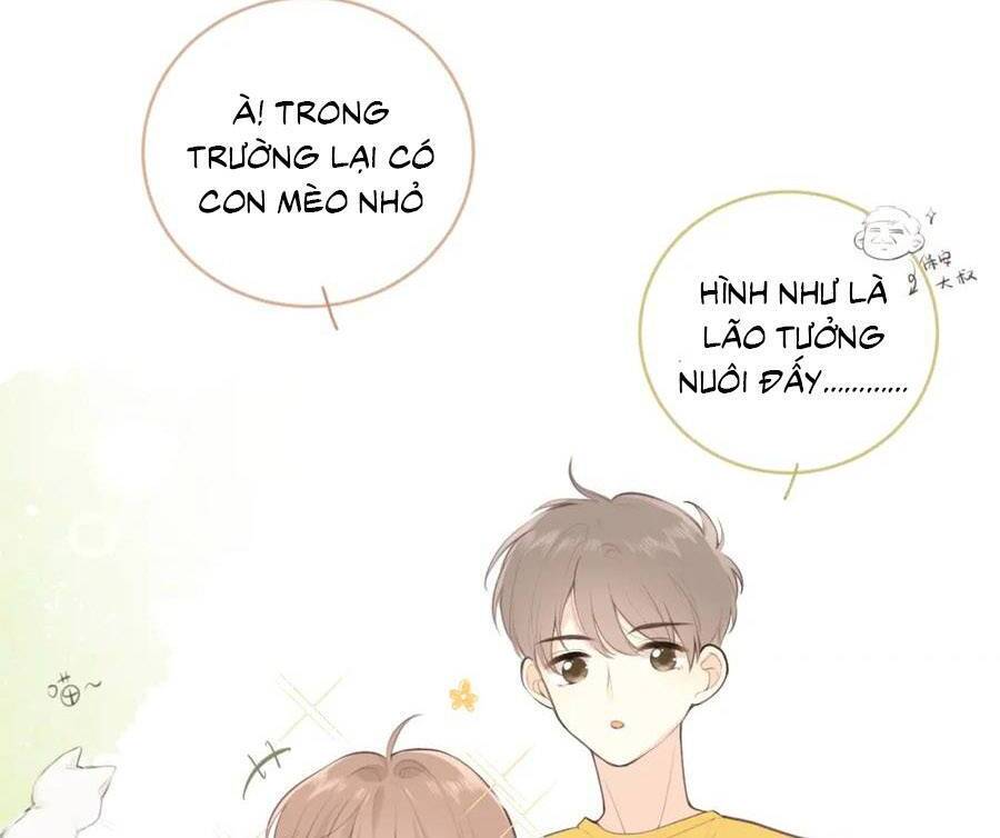 Tình Yêu Duy Nhất Của Tôi Chap 25 - Next Chap 26