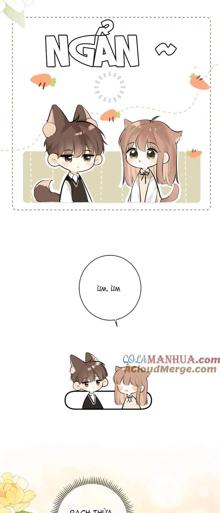 Tình Yêu Duy Nhất Của Tôi Chap 50 - Next Chap 51