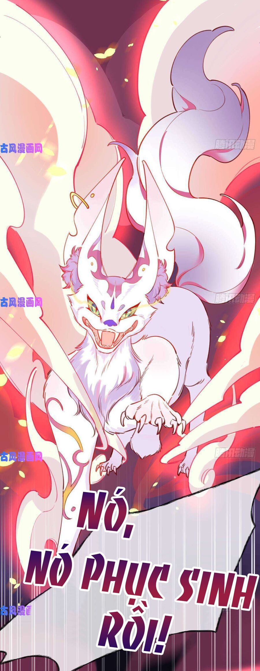Tình Yêu Mạng Ngọt Ngào Lật Xe Rồi! Chap 3 - Next Chap 4