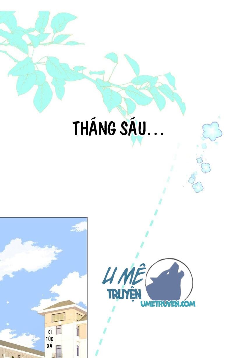 Tình Yêu Mạng Ngọt Ngào Lật Xe Rồi! Chap 56 - Next Chap 57