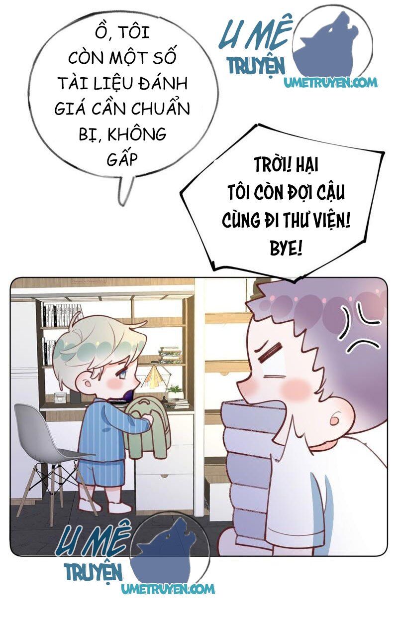 Tình Yêu Mạng Ngọt Ngào Lật Xe Rồi! Chap 56 - Next Chap 57