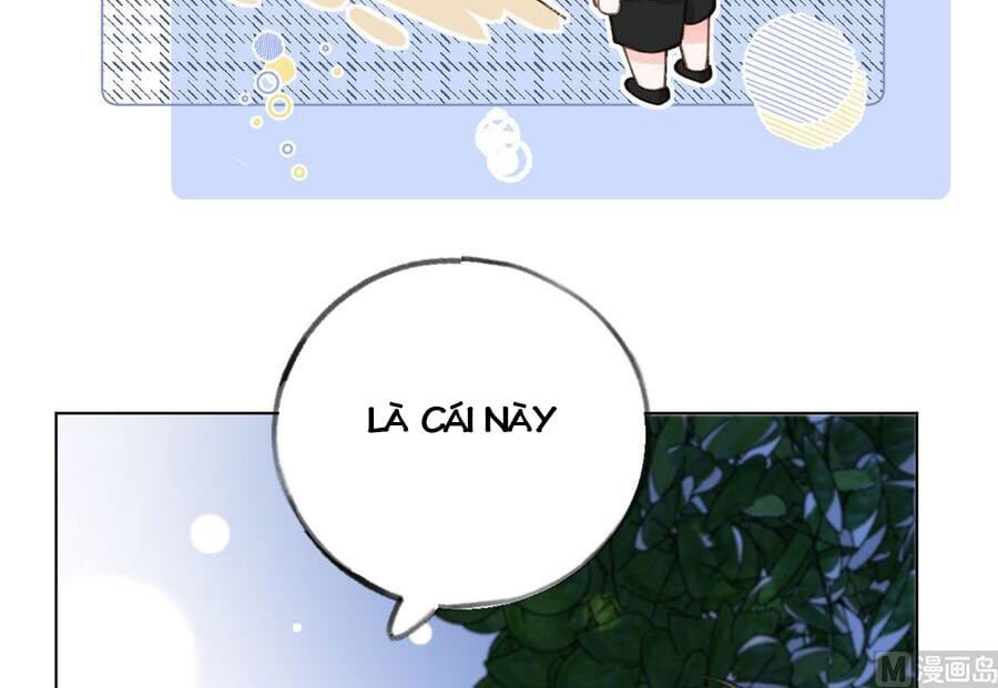 Tình Yêu Mạng Ngọt Ngào Lật Xe Rồi! Chap 57 - Next Chap 58