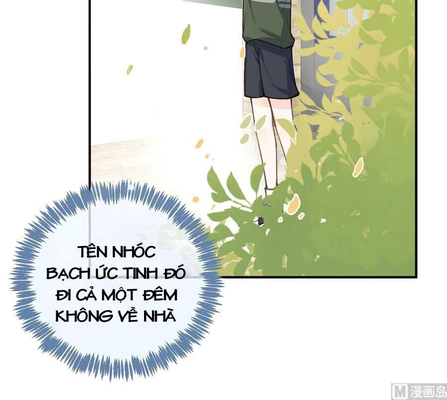 Tình Yêu Mạng Ngọt Ngào Lật Xe Rồi! Chap 58 - Next Chap 59