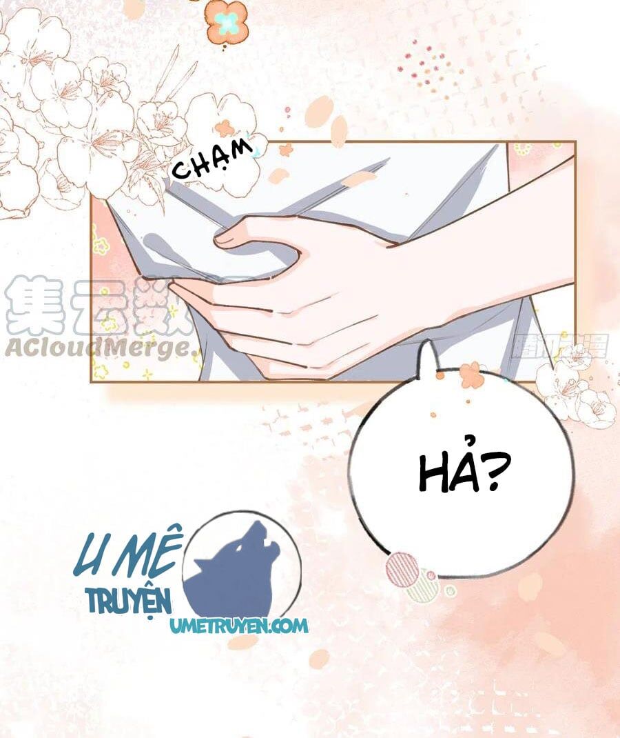 Tình Yêu Mạng Ngọt Ngào Lật Xe Rồi! Chap 65 - Next Chap 66