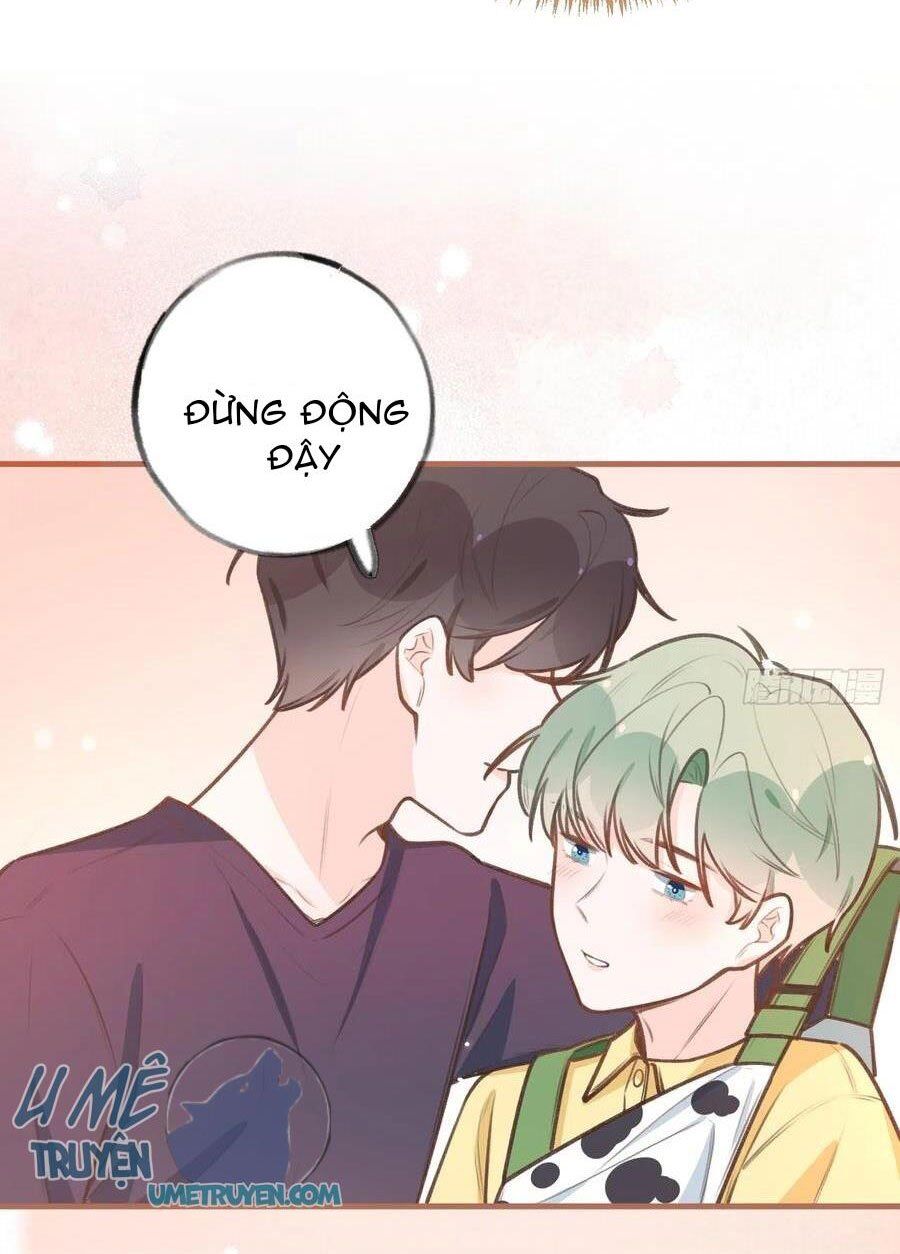 Tình Yêu Mạng Ngọt Ngào Lật Xe Rồi! Chap 85 - Next Chap 86