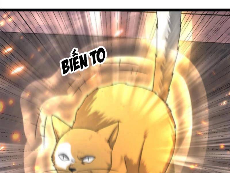 Toàn Cầu Băng Phong: Ta Chế Tạo Phòng An Toàn Tại Tận Thế Chap 409 - Next Chap 410