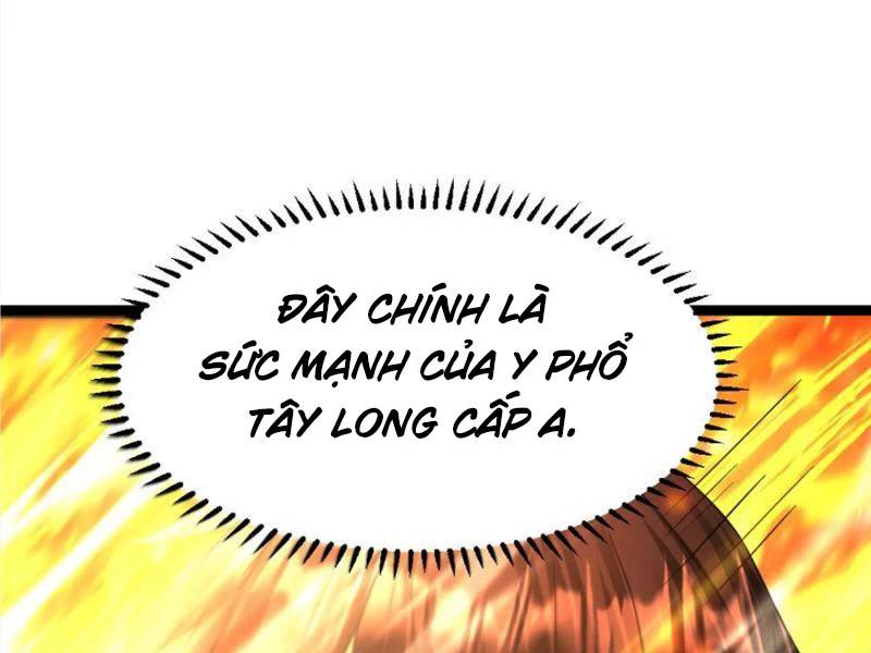 Toàn Cầu Băng Phong: Ta Chế Tạo Phòng An Toàn Tại Tận Thế Chap 446 - Next Chap 447