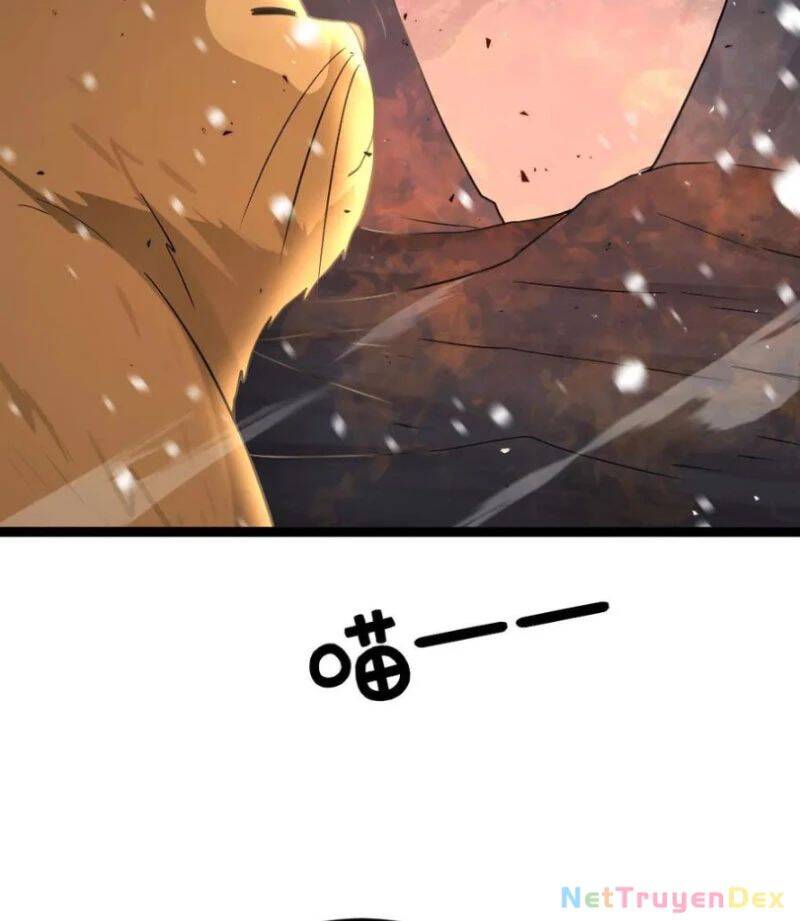 Toàn Cầu Băng Phong: Ta Chế Tạo Phòng An Toàn Tại Tận Thế Chap 554 - Next Chap 555