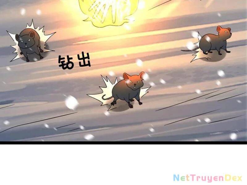 Toàn Cầu Băng Phong: Ta Chế Tạo Phòng An Toàn Tại Tận Thế Chap 555 - Next Chap 556