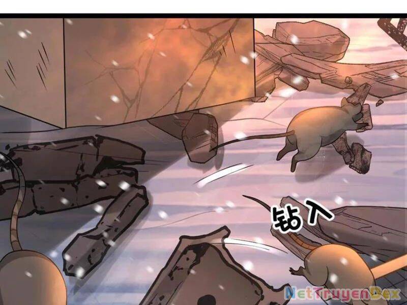Toàn Cầu Băng Phong: Ta Chế Tạo Phòng An Toàn Tại Tận Thế Chap 555 - Next Chap 556