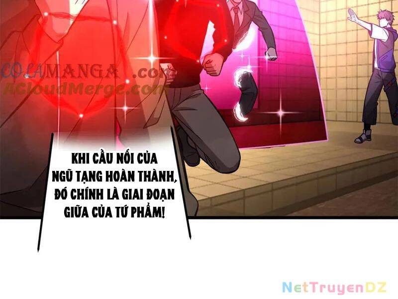 Toàn Cầu Cao Võ Chap 290 - Next Chap 291