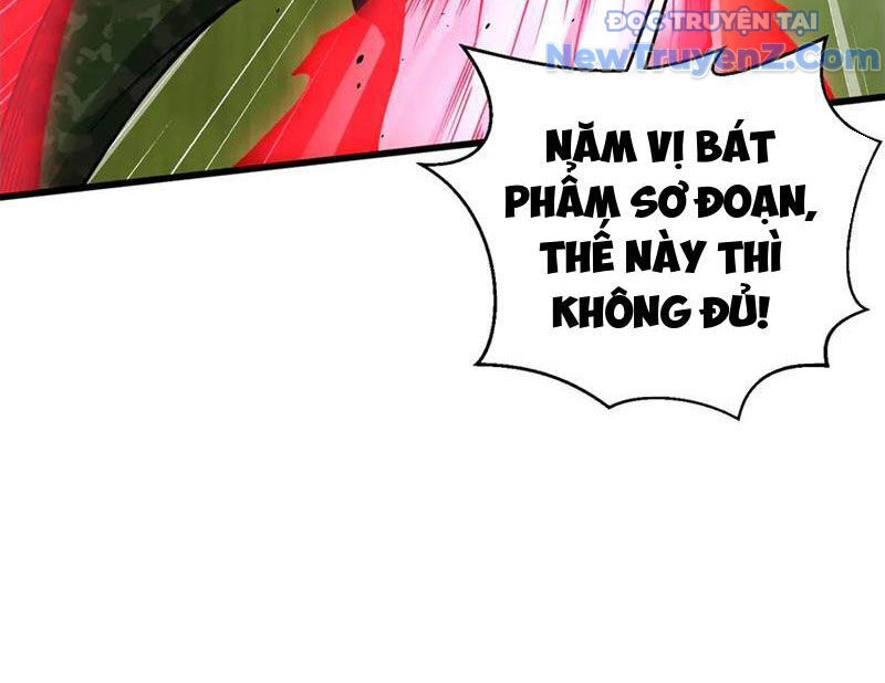 Toàn Cầu Cao Võ Chap 311 - Next Chap 312