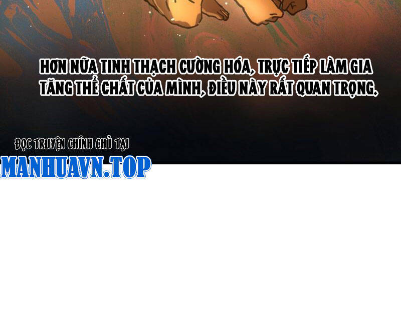 Toàn Cầu Ngự Thú: Ta Có Thể Thấy Lộ Tuyến Tiến Hoá Chap 2 - Next Chap 3
